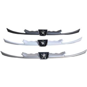 جلو پنجره 206